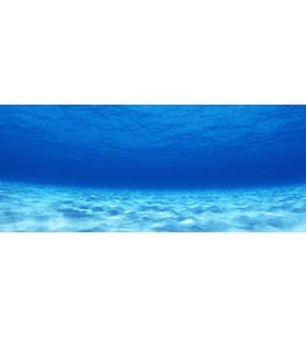 Kanki Pet KP1556503 Akvaryum Arka Fon Yapıştırma 155 x 65 CM