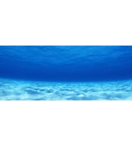 Kanki Pet KP1556503 Akvaryum Arka Fon Yapıştırma 155 x 65 CM