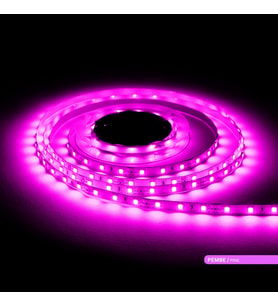 LED Şerit bant 5 metre 5050 SMD 12V Pembe Renkli 60 LED/m IP20 Işık Aydınlatma Kendinden Yapışkanlı