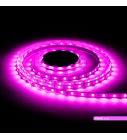 LED Şerit bant 5 metre 5050 SMD 12V Pembe Renkli 60 LED/m IP20 Işık Aydınlatma Kendinden Yapışkanlı