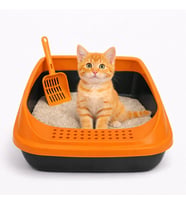Açık Kedi Tuvaleti Yüksek Kenarlı Kedi Kumu Kabı, Kum Dağılmaz, Kolay Temizlenir, Kürek Dahil