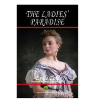 The Ladies Paradise