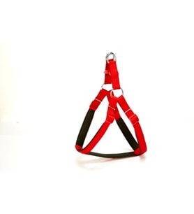 Köpek Bel Tasması 70cm Large Kırmızı