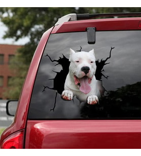 Dogo Argentino Köpek Sticker Yapıştırması 19cm