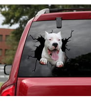 Dogo Argentino Köpek Sticker Yapıştırması 19cm