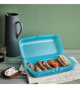 TUPPERWARE DİKDÖRTGEN SAKLAMA KABI ŞEFFAF RENK
