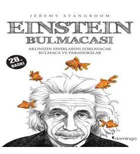 Einstein Bulmacası Aklınızın Sınırlarını Zorlayacak Bulmaca ve Paradokslar