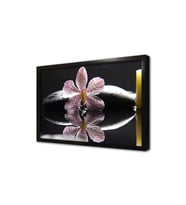 Spa Taşları ve Orkide Çerçeveli Mdf Tablo