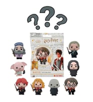 Harry Potter Wizard Buddies 3D Sürpriz Figür Paketi - Koleksiyon Serisi