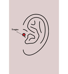 316L Çelik Gümüş Renk Mor Mineli Kalp Zirkon Taş Detay Tragus Piercing 5886 - HPSBYI4625-4054