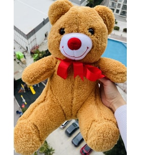 Kadınlar Gününe Özel Yumuşak 35 cm Oyuncak Peluş Ayıcık, Uyku ve Oyun Arkadaşı Hediye Oyuncak