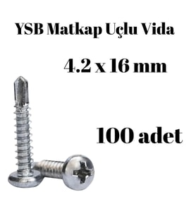 Yıldız Silindir Başlı 4.2x16 YSB Matkap Uçlu Akıllı Vida 100 Adet