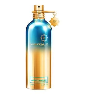 Montale Aoud Lagoon EDP 100 ml Unisex Parfüm