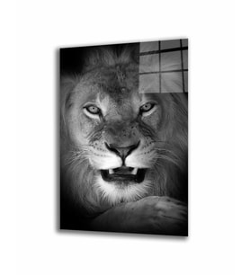 Aslan Hayvan Cam Tablo