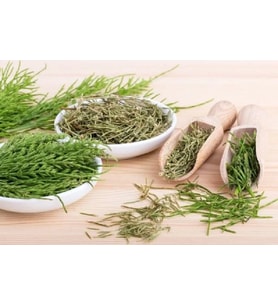 Kırkkilit Otu 100 gr ( Doğal Kurutulmuş, Katkısız )