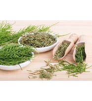 Kırkkilit Otu 100 gr ( Doğal Kurutulmuş, Katkısız )