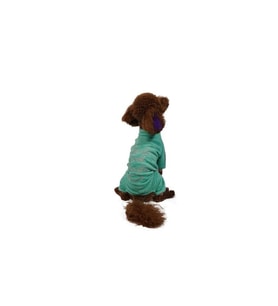 Pawstar Kedi ve KÜÇÜK Köpek Mint Smile Tulum L Sırt33cm Göğüs46cm Boyun30cm