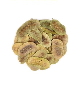 Northcity Organik Taze Dökme Açlık Otu 250 Gr - Doğal İştah Bastırıcı Bitki