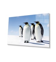 Penguen Hayvan Cam Tablo 4mm Dayanıklı Temperli Cam