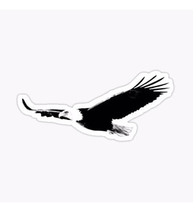 Araba için Kartal Oto Sticker Yapıştırması Etiket  17CM a3