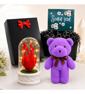 Siyah Hediye Kutusunda Kırmızı Kalpli Led Işıklı Fanus ve Mor Peluş Ayıcık Hediye Seti
