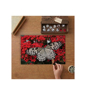 Kırmızı Çiçeklerin Üstündeki Siyah Beyaz Büyük Kelebek Tasarımı 240 parça Ahşap Puzzle Ahşap Kutuda MP04205