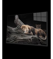 Aslan Cam Tablo