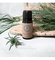 Boğaz Çakra Uçucu Yağ Oda Kokusu 10ml