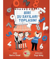 Biri Şu Sayıları Toplasın