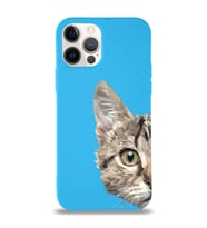 Apple iPhone 12 Pro Max Uyumlu Lansman Kılıf Catface Tasarımlı İçi Kadife Kapak-Mavi (Şeffaf)