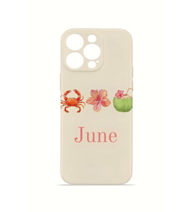 iPhone 13 Pro Max Vorian İnce Kamera Korumalı Mika Kılıf June Seaside