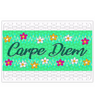 Carpe Diem -VI Puzzle 240 Parça Yapboz