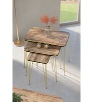 Zigon Sehpa Kr Çift Gold Ceviz Tel 1029
