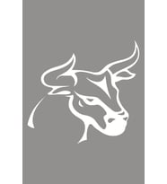 Boynuzlu Boğa Öküz Araba Duvar Sticker Beyaz Renk