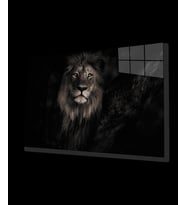 Aslan 25 Hayvan Cam Tablo