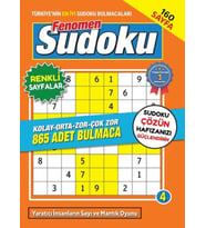 Fenomen Sudoku 4