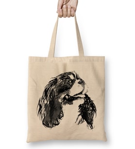 Cavalier King Charles Bez Çanta Uzun Saplı