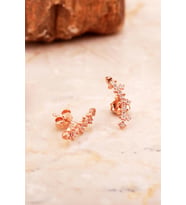 Ritim Mini Rose Gümüş Küpe 6924