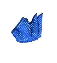 Cengiz İnler Puantiye Desenli Mendilli Mikrofiber Erkek Kravat (Mavi)