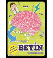 Muhteşem Beyin Ve Sinir Sistemi