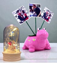 Kişiye Özel Hediye Seti 3 Fotoğraflı Sevimli Pembe Kaplumbağa ve Led Işıklı Fanus (Model 2)