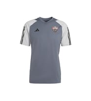 adidas Somaspor Tiro23 C Jsy Somaspor Erkek Futbol Forması SOM-HP1906 Gri