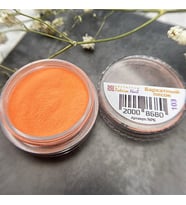 Turuncu Rengi Akrilik Toz #103 5 Gr - Protez Tırnak ve Nail Art İçin Profesyonel Renkli Akrilik Pudra
