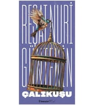 Çalıkuşu : Reşat Nuri Güntekin