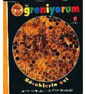 Öğreniyorum Böceklerin Evi (Ciltli)