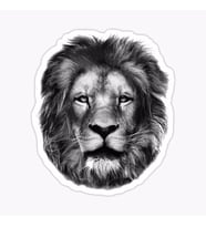 Araba için Aslan Oto Sticker Yapıştırması Etiket  17CM z1