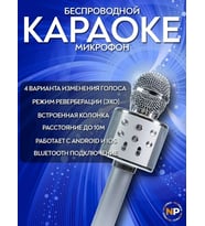 Kablosuz Mikrofon Hoparlör Karaoke