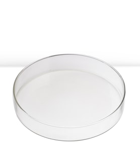 Petri kutusu 120 mm *20mm
