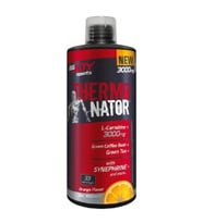 BigJoy Sports Thermonator L-Carnitine 1000 ml