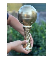 Voleybol Kupası Gold Kaplama 30cm